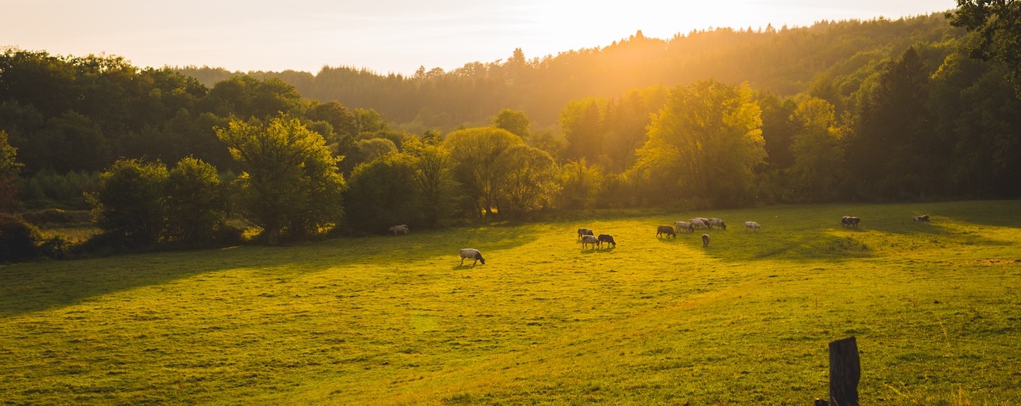 Wandeltrektocht in de Ardennen