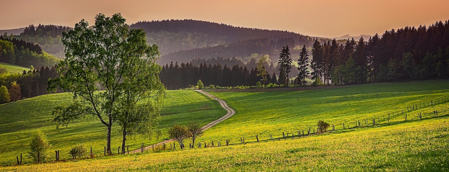 Wandelen in het Sauerland