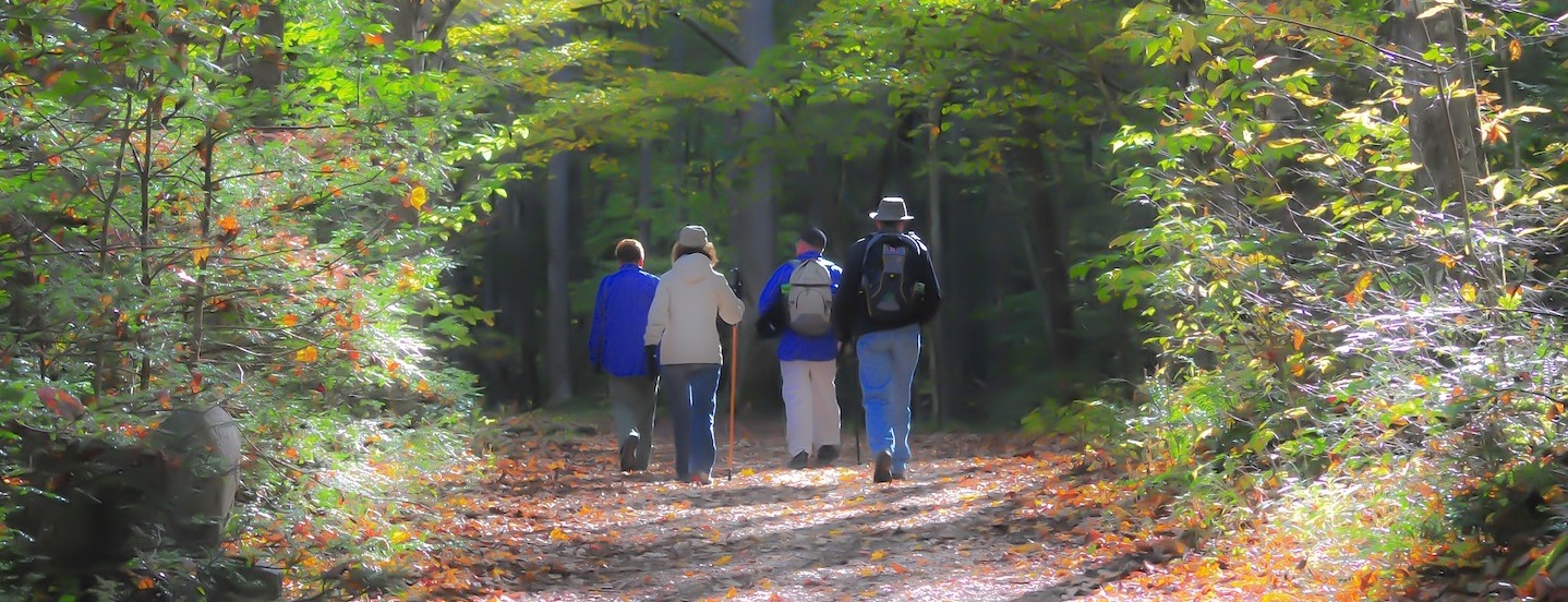 Wandelen in Twente