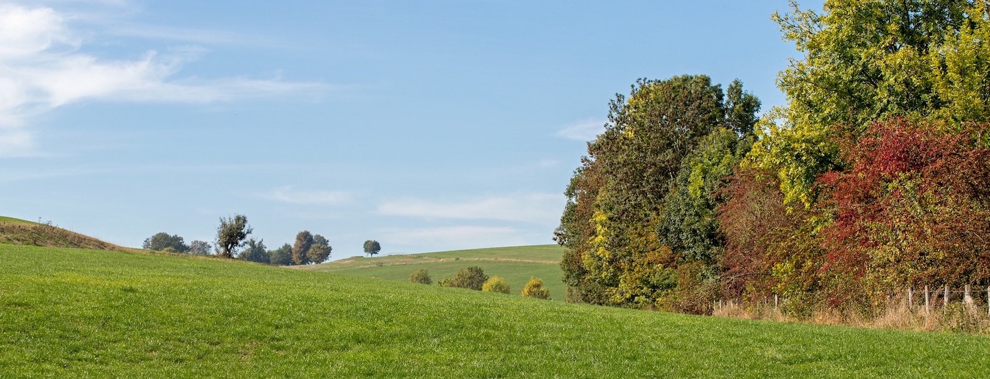 Wandelen in Limburg